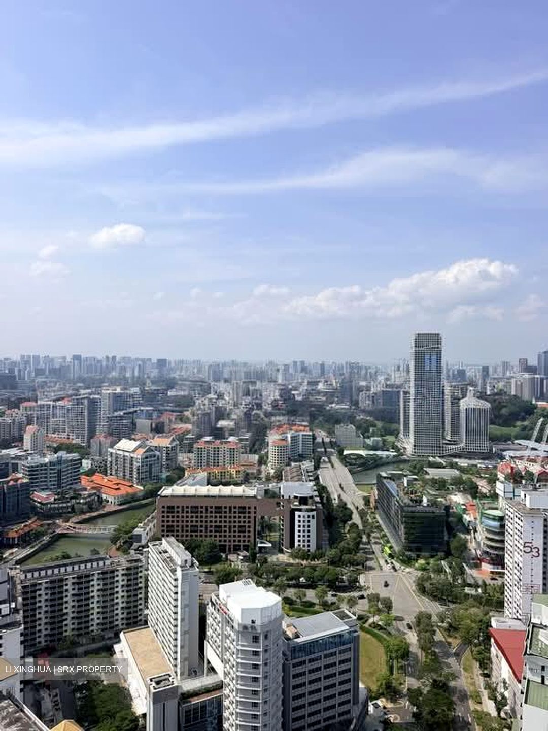 The Landmark (D3), Condominium #598781211